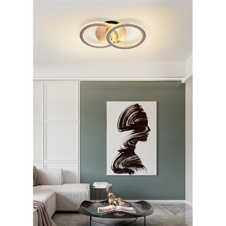 Searchlight - LED ρυθμιζόμενο φωτιστικό οροφής SPECS LED/24W/230V 3000K 25x42,5 cm