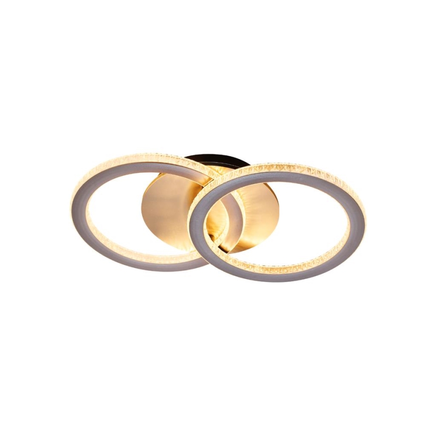 Searchlight - LED ρυθμιζόμενο φωτιστικό οροφής SPECS LED/24W/230V 3000K 25x42,5 cm