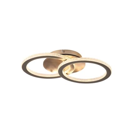 Searchlight - LED ρυθμιζόμενο φωτιστικό οροφής SPECS LED/24W/230V 3000K 25x42,5 cm