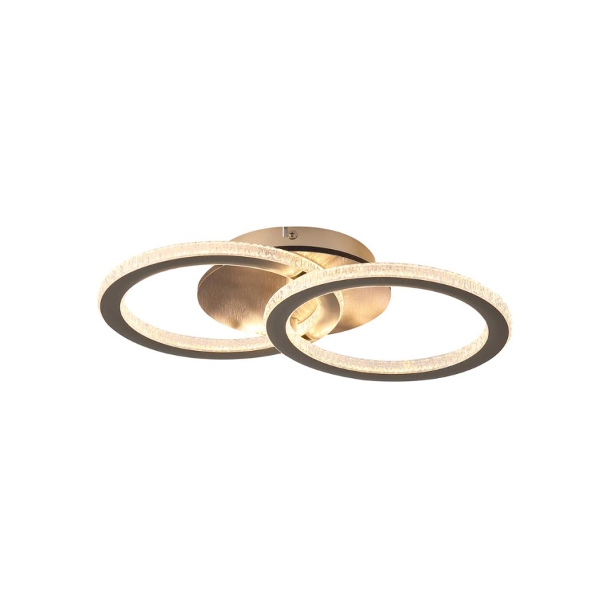 Searchlight - LED ρυθμιζόμενο φωτιστικό οροφής SPECS LED/24W/230V 3000K 25x42,5 cm