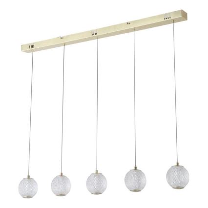 Searchlight - LED κρεμαστό φωτιστικό με καλώδιο ALLURE 5xLED/4,2W/230V