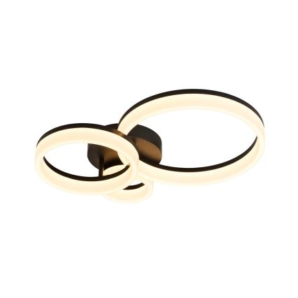 Searchlight - LED Ρυθμιζόμενο φωτιστικό οροφής TRIPLE LED/25W/230V