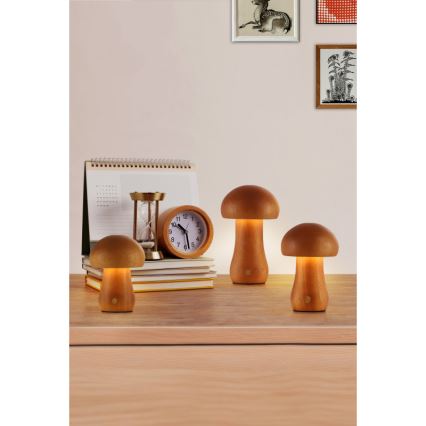 Searchlight - ΣΕΤ 3 τεμάχια LED επιτραπέζια φωτιστικά MUSHROOM LED/1,1W/5V 800 mAh