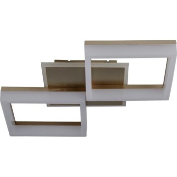 Searchlight - Ρυθμιζόμενο φωτιστικό οροφής LED FENCE LED/25W/230V