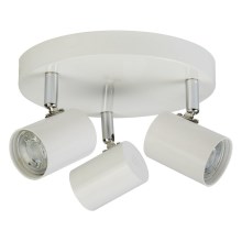 Searchlight - Φως σποτ LED ROLLO 3xLED/4W/230V λευκό