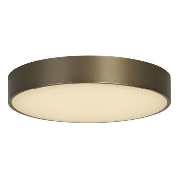 Searchlight - Φωτιστικό οροφής LED PALMA LED/12W/230V 3000K Ø 25 cm μπρονζέ