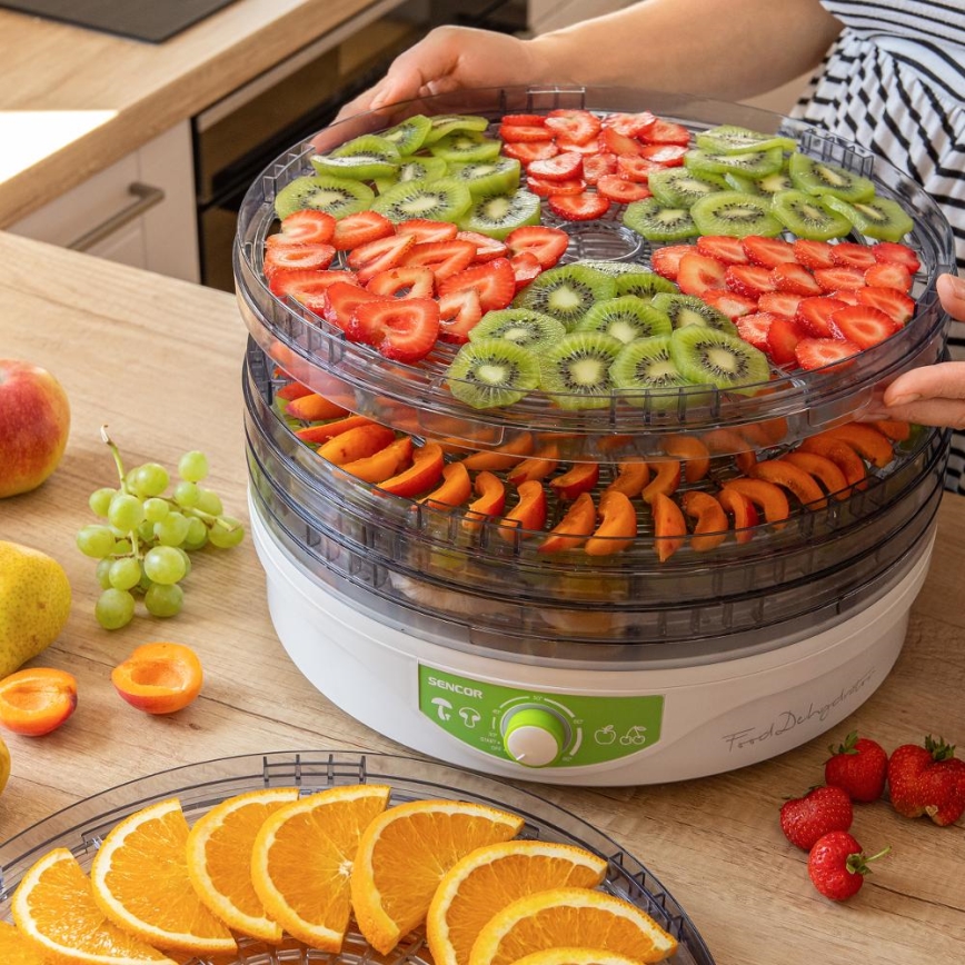 Sencor - Ξηραντήρας τροφίμων με θερμορύθμιση 250W/230V