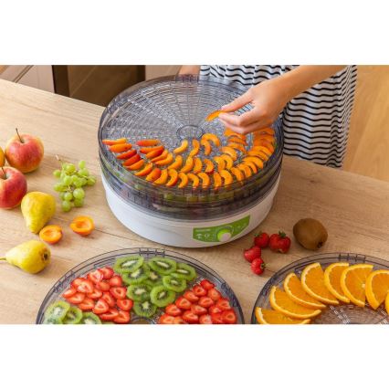 Sencor - Ξηραντήρας τροφίμων με θερμορύθμιση 250W/230V