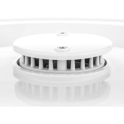 Sencor - Ξηραντήρας τροφίμων με θερμορύθμιση 250W/230V