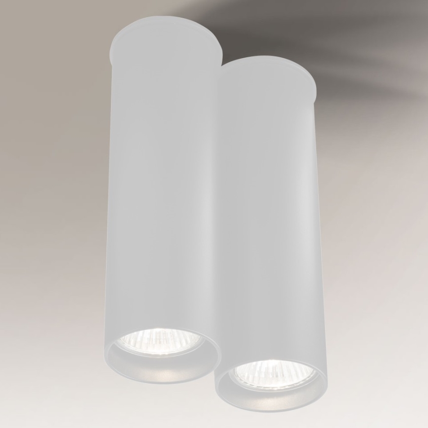 Shilo - Φωτιστικό οροφής 2xGU10/15W/230V λευκό