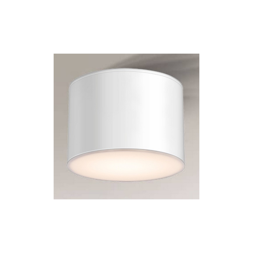 Shilo - Φωτιστικό οροφής 1xGX53/15W/230V λευκό