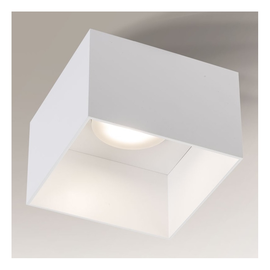 Shilo - Φωτιστικό οροφής 1xGX53/15W/230V λευκό