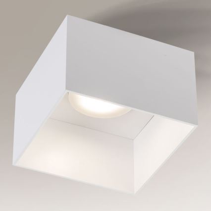 Shilo - Φωτιστικό οροφής 1xGX53/15W/230V λευκό