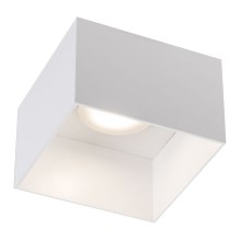 Shilo - Φωτιστικό οροφής 1xGX53/15W/230V λευκό