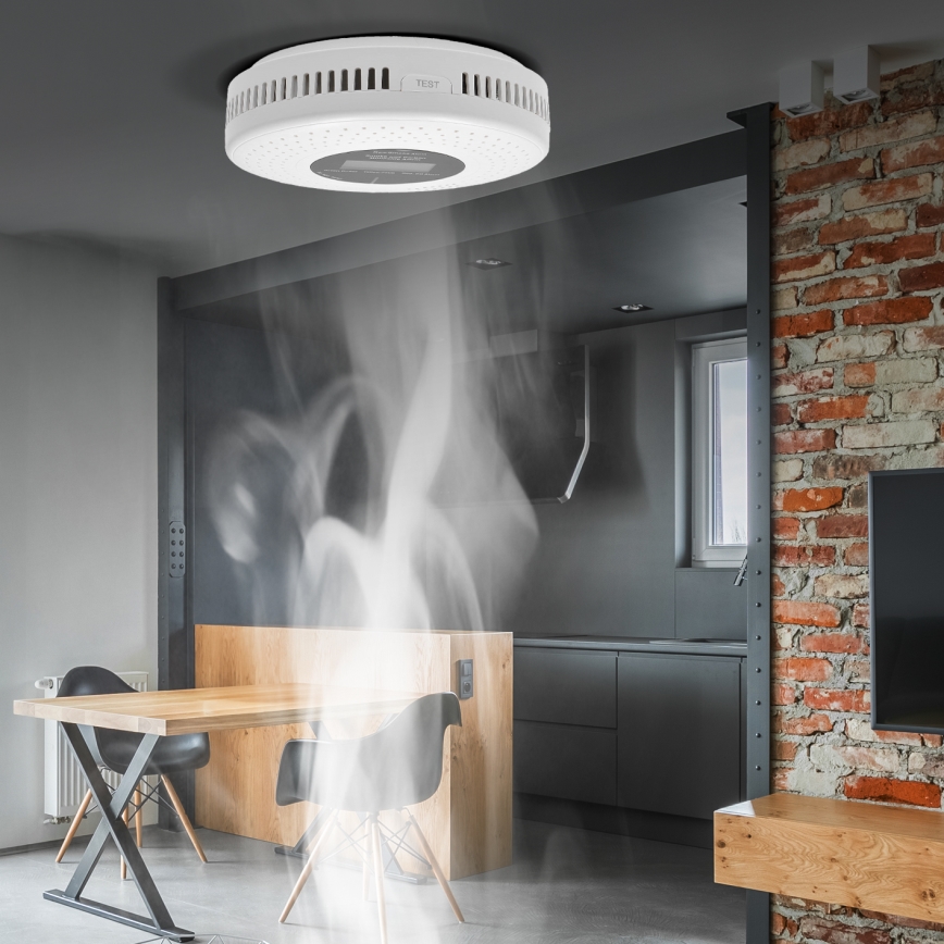 Ανιχνευτής καπνού και μονοξειδίου του άνθρακα με οθόνη LCD, 2xAA