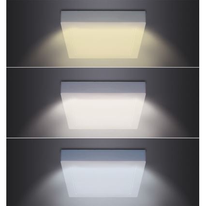 Φωτιστικό οροφής LED 12W/230V 3000/4000/6000K 17x17 cm λευκό