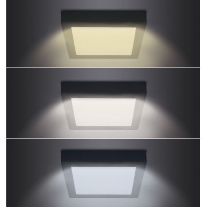 LED Φωτιστικό οροφής LED/18W/230V 3000/4000/6000K μαύρο στενόμακρο