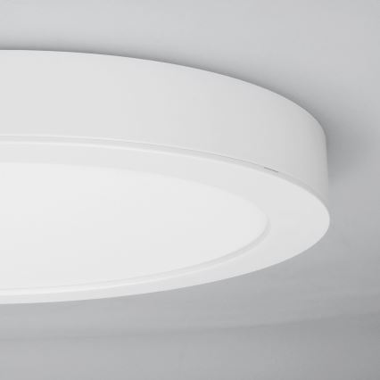 LED επιφανειακό/εντοιχισμένο πάνελ 2 σε 1 24W/230V 3000/4000/6000K Ø 30 cm IP54 λευκό