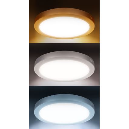 LED επιφανειακό/εντοιχισμένο πάνελ 2 σε 1 24W/230V 3000/4000/6000K Ø 30 cm IP54 λευκό
