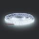 LED Tαινία LED LED/50W/12V 5m ψυχρό λευκό