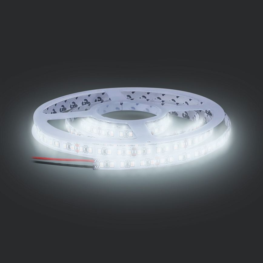 LED Tαινία LED LED/50W/12V 5m ψυχρό λευκό