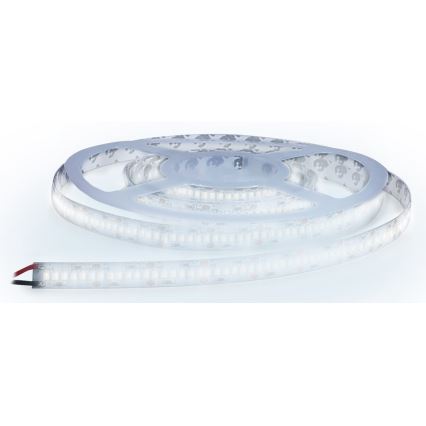 LED Ταινία LED/80W/12V 5m ψυχρό λευκό