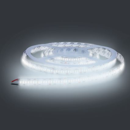 LED Ταινία LED/80W/12V 5m ψυχρό λευκό