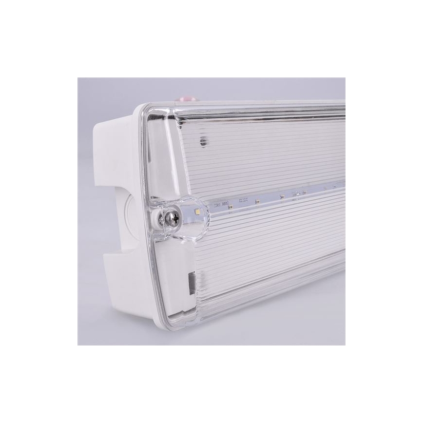 LED Φωτιστικό ασφαλείας LED/6W/230V IP65 6500K