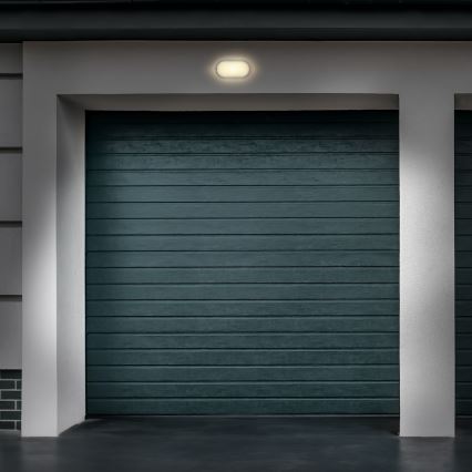 Φωτιστικό τοίχου LED Εξωτερικού χώρου LED/20W/230V 4000K IP54 γκρι οβάλ