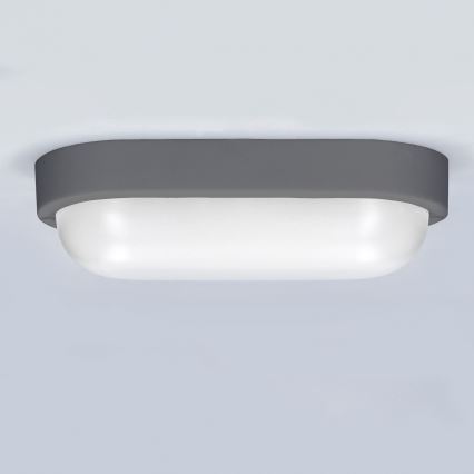 Φωτιστικό τοίχου LED Εξωτερικού χώρου LED/20W/230V 4000K IP54 γκρι οβάλ