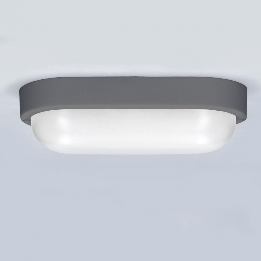 Φωτιστικό τοίχου LED Εξωτερικού χώρου LED/20W/230V 4000K IP54 γκρι οβάλ