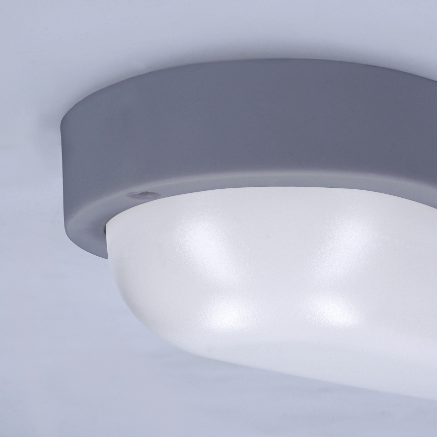 Φωτιστικό τοίχου LED Εξωτερικού χώρου LED/20W/230V 4000K IP54 γκρι οβάλ