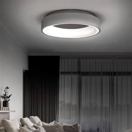 Φως οροφής dimmer LED TREVISO LED/48W/230V + RC