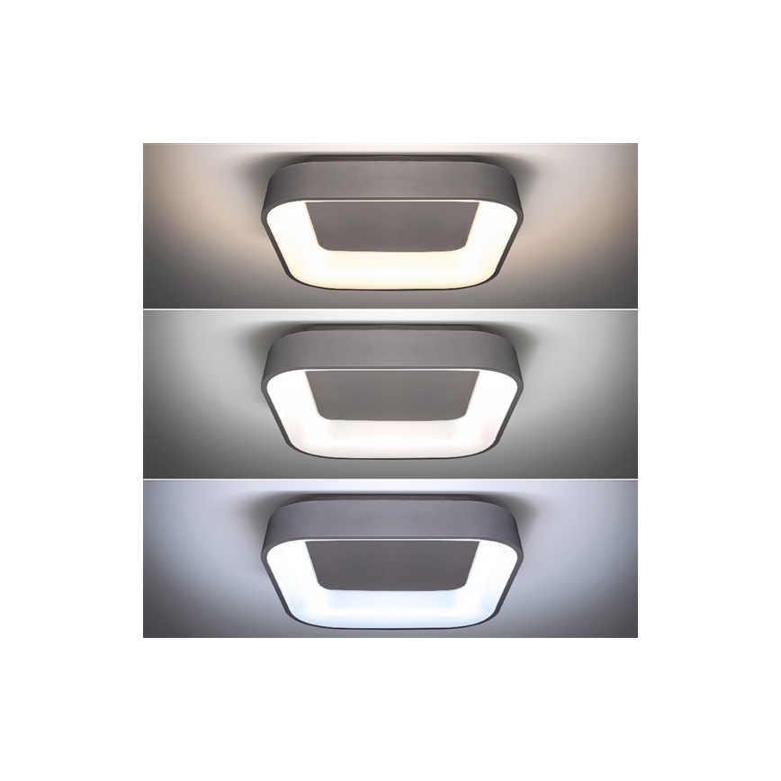 LED Ρυθμιζόμενο φωτιστικό οροφής TREVISO LED/48W/230V + τηλεχειριστήριο