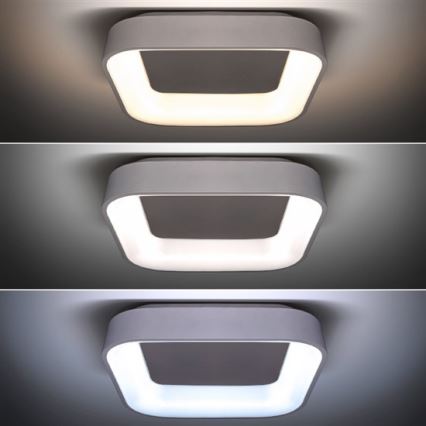 Φως οροφής dimmer LED LED/48W/230V + τηλεχειριστήριο
