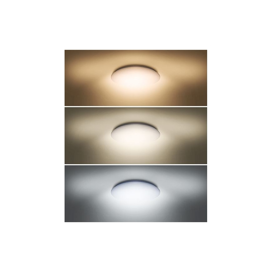 LED Φωτιστικό οροφής PLAIN LED/24W/230V 3000K/4000K/6000K στρογγυλό