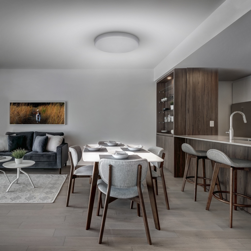 LED Ρυθμιζόμενο φωτιστικό οροφής LED/50W/230V 3000-6000K + τηλεχειριστήριο