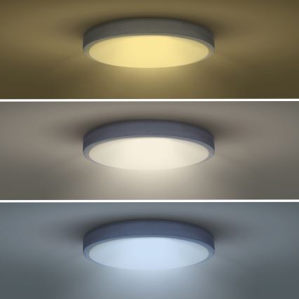 LED Dimmable φωτιστικό οροφής GREY LED/60W/230V 3000-6500K γκρι διάμετρος 49 cm + τηλεχειριστήριο