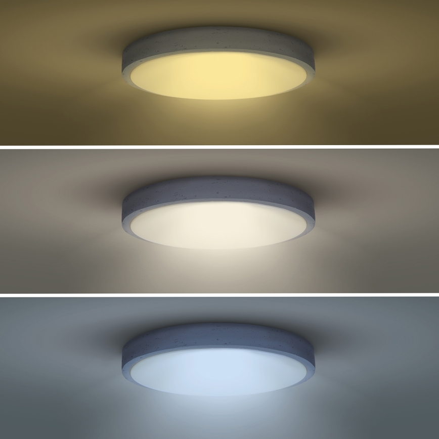 LED Dimmable φωτιστικό οροφής GREY LED/60W/230V 3000-6500K γκρι διάμετρος 49 cm + τηλεχειριστήριο