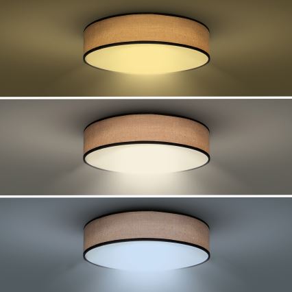 LED Dimmable φωτιστικό οροφής BROWNIE LED/48W/230V 3000-6500K καφέ διάμετρος 40 cm + τηλεχειριστήριο