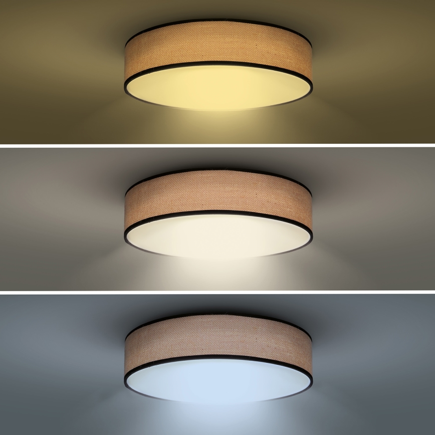LED Dimmable φωτιστικό οροφής BROWNIE LED/48W/230V 3000-6500K καφέ διάμετρος 40 cm + τηλεχειριστήριο