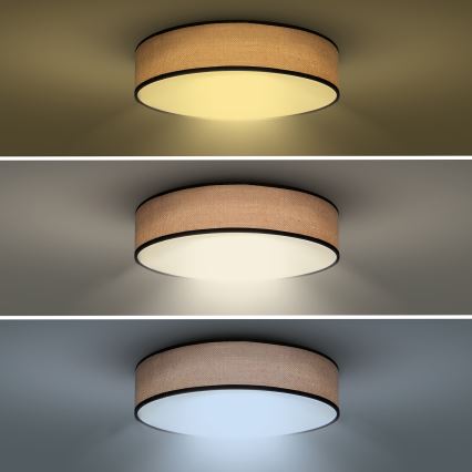 LED Dimmable φωτιστικό οροφής BROWNIE LED/60W/230V 3000-6500K καφέ διάμετρος 50 cm + τηλεχειριστήριο