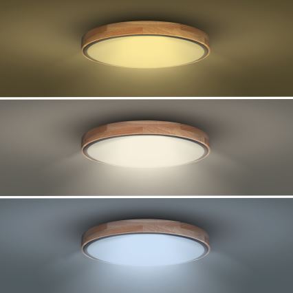 Ρυθμιζόμενο LED φωτιστικό οροφής IRON OAK, 48 W, 230 V, 3000–6500 K, σε απόχρωση δρυός, διάμ. 40 εκ. + τηλεχειριστήριο