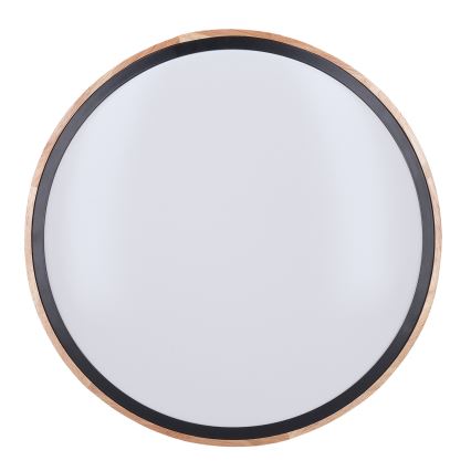 LED Dimmable φωτιστικό οροφής IRON OAK LED/60W/230V 3000-6500K δρυς διάμετρος 51 cm + τηλεχειριστήριο