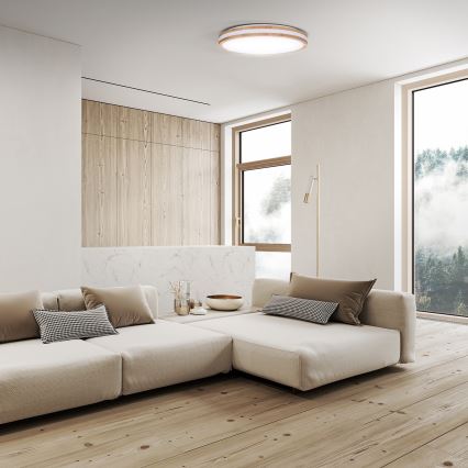 LED Ρυθμιζόμενο φωτιστικό οροφής WOODY LED/48W/230V 3000-6500K δρυς διάμ. 38 εκ. + τηλεχειριστήριο