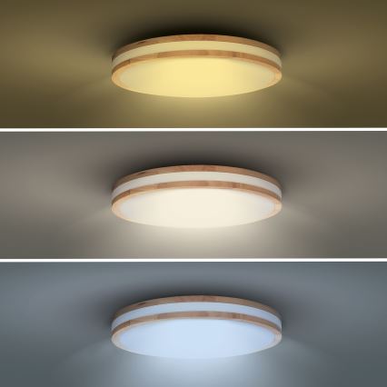 LED Ρυθμιζόμενο φωτιστικό οροφής WOODY LED/48W/230V 3000-6500K δρυς διάμ. 38 εκ. + τηλεχειριστήριο