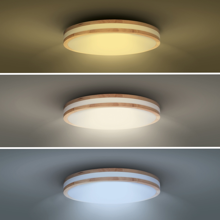 LED Dimmable φωτιστικό οροφής WOODY LED/48W/230V 3000-6500K δρυς διάμετρος 38 cm + τηλεχειριστήριο