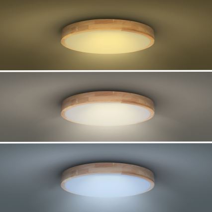 LED Ρυθμιζόμενο Φωτιστικό Οροφής SOLID OAK LED/48W/230V 3000-6500K δρυς διάμ. 39 εκ. + τηλεχειριστήριο