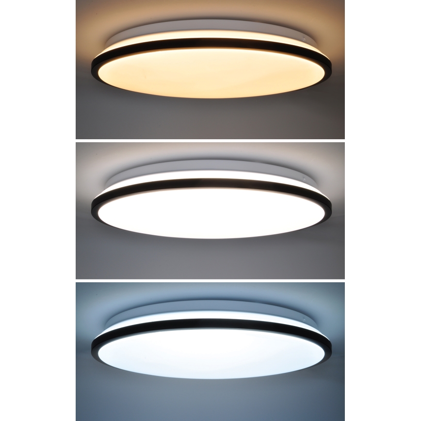 LED Dimmable φωτιστικό οροφής JAMIL LED/48W/230V 3000-6500K μαύρο + τηλεχειριστήριο