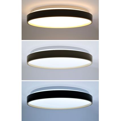 LED Dimmable φωτιστικό οροφής CALA LED/48W/230V 3000-6500K μαύρο/χρυσό + τηλεχειριστήριο